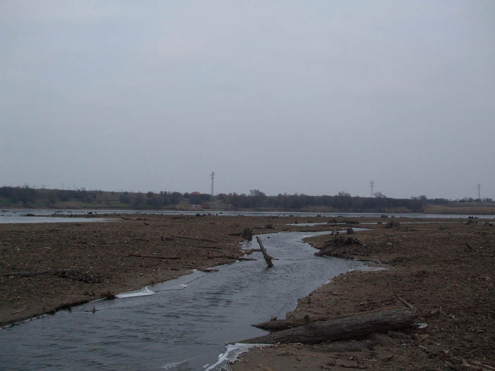 TANCABESTI SECAT - DSCF3463.jpg